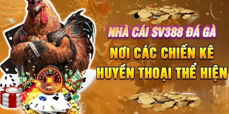 Sảnh đá gà SV388 là nơi hút khách nhất năm 2024