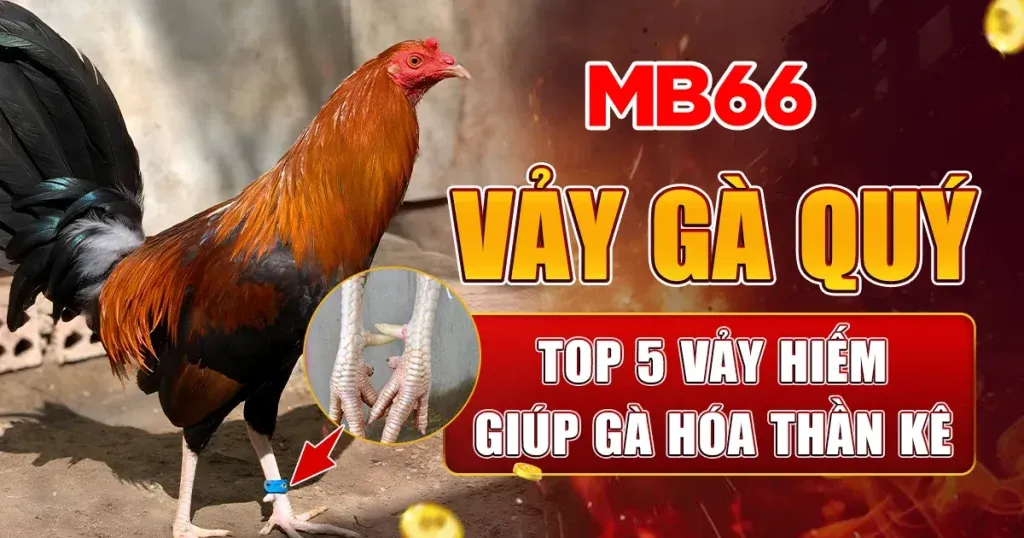 Nhận Diện 5 Vảy Gà Quý Bất Bại Trong Mọi Trận Chiến : Vảy Vấn Cán, Vảy Phủ Địa Đặc Biệt Hiếm