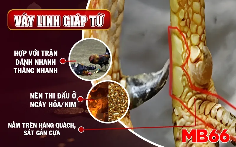 Vảy linh giáp tử